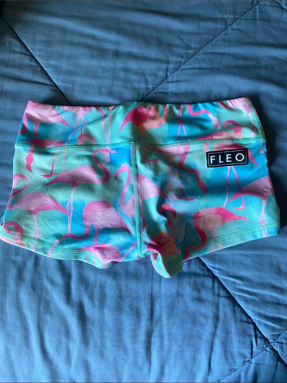 Fleo Aqua & Pink Flamingo Shorts